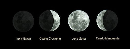 Las fases de la Luna te dicen cuál es el mejor momento para tomar una  decisión ????? – ePat Suspicion